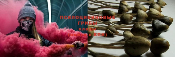 метадон Дмитриев