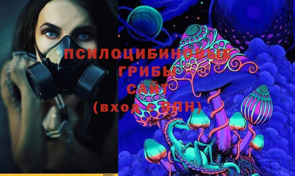 метадон Дмитриев