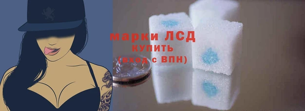 шишки Шадринск