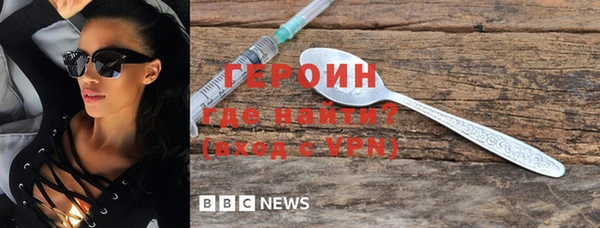 прущие грибы Елабуга
