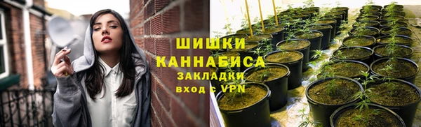 метадон Дмитриев
